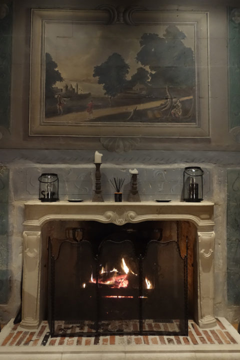 Chateau d’Allogny, cheminée