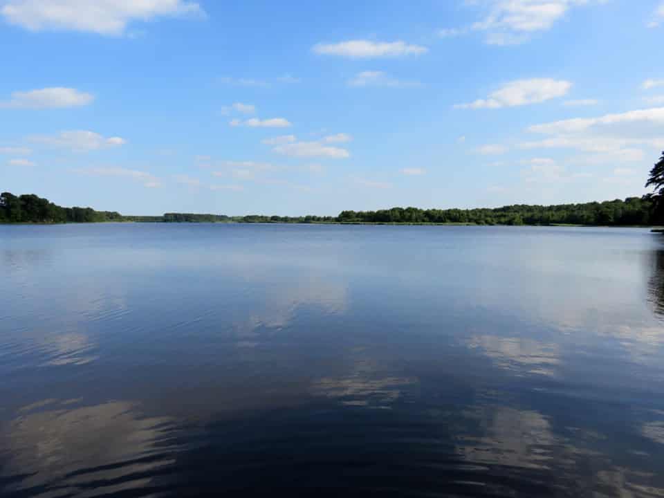 Etang de Bellebouche