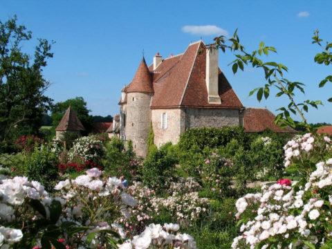 Jardin de Drulon