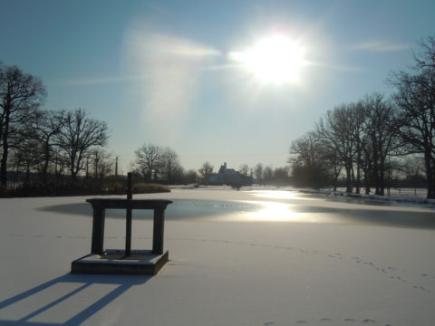 Etang du domaine d'Allogny